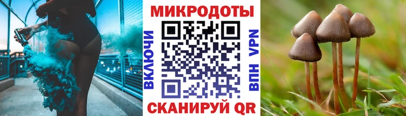 hydra онион Юрга Псилоцибиновые грибы мухоморы