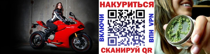 продажа наркотиков Юрга Бошки марихуана SATIVA & INDICA